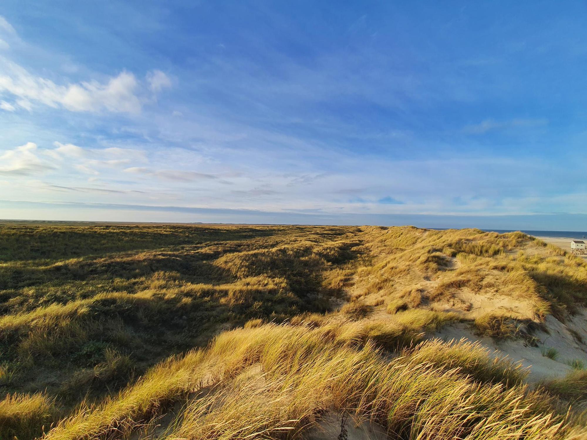 terschelling