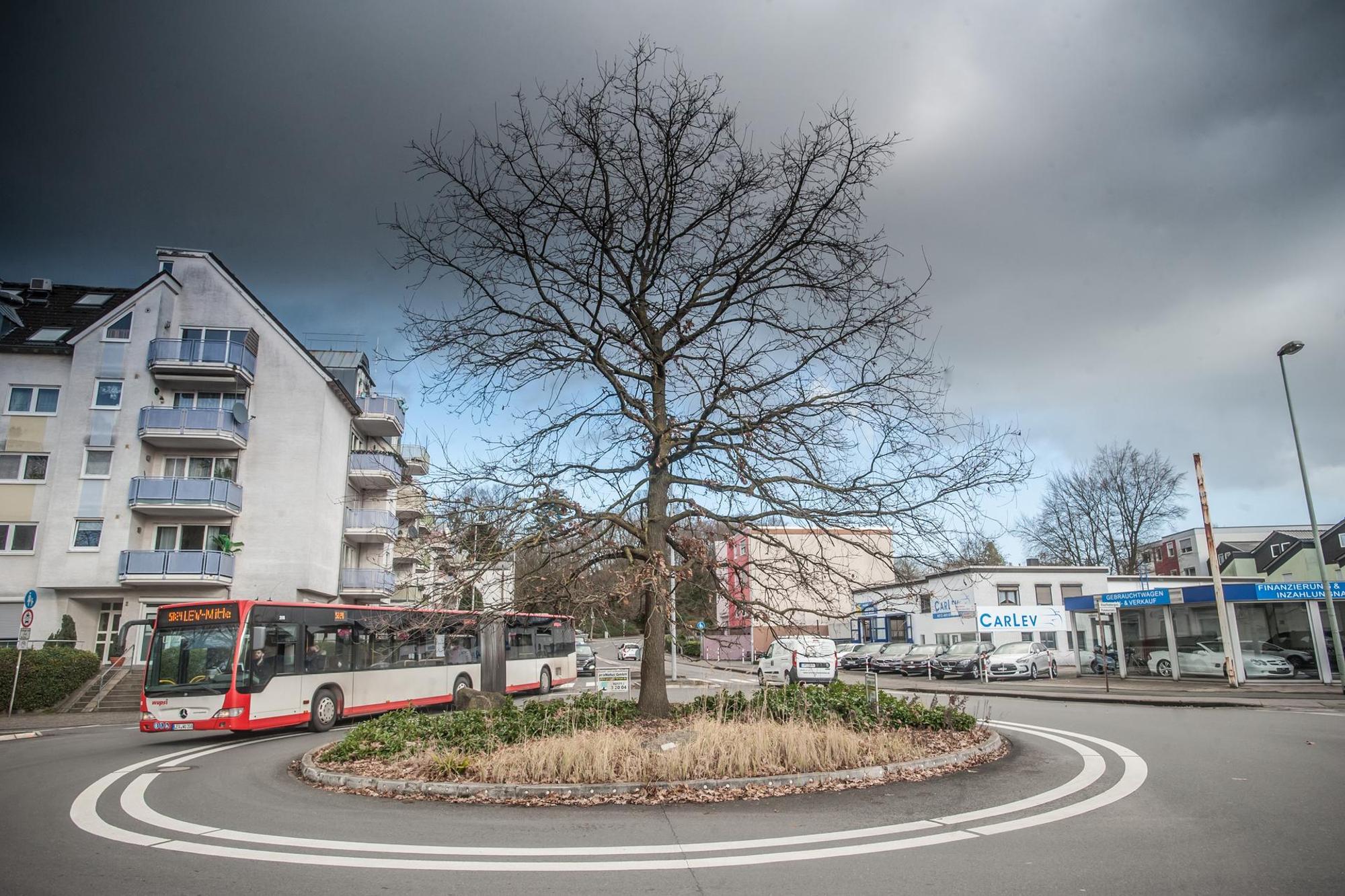 kereiselrennbaumstrasse-lev_rar_RLE_02022022ALF_8851