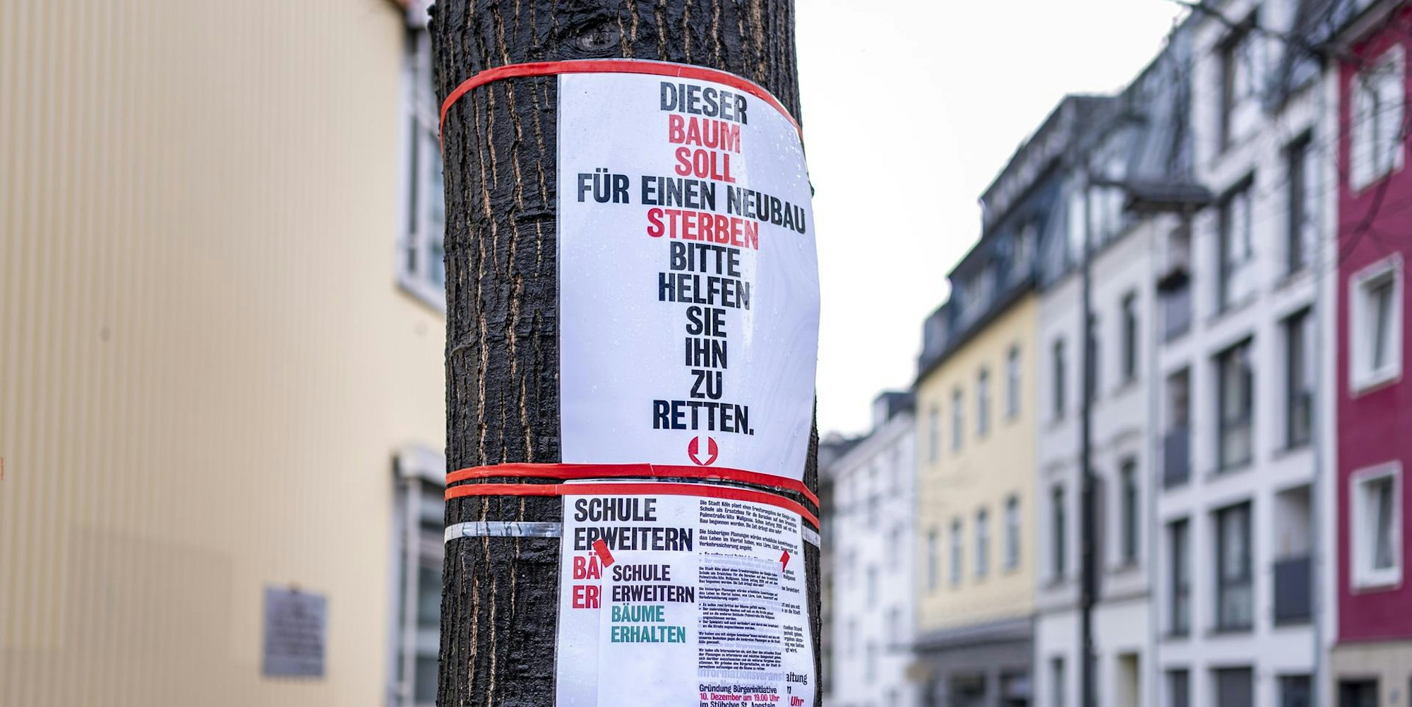 Neuer Inhalt