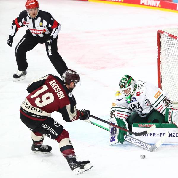 Haie gegen Augsburg