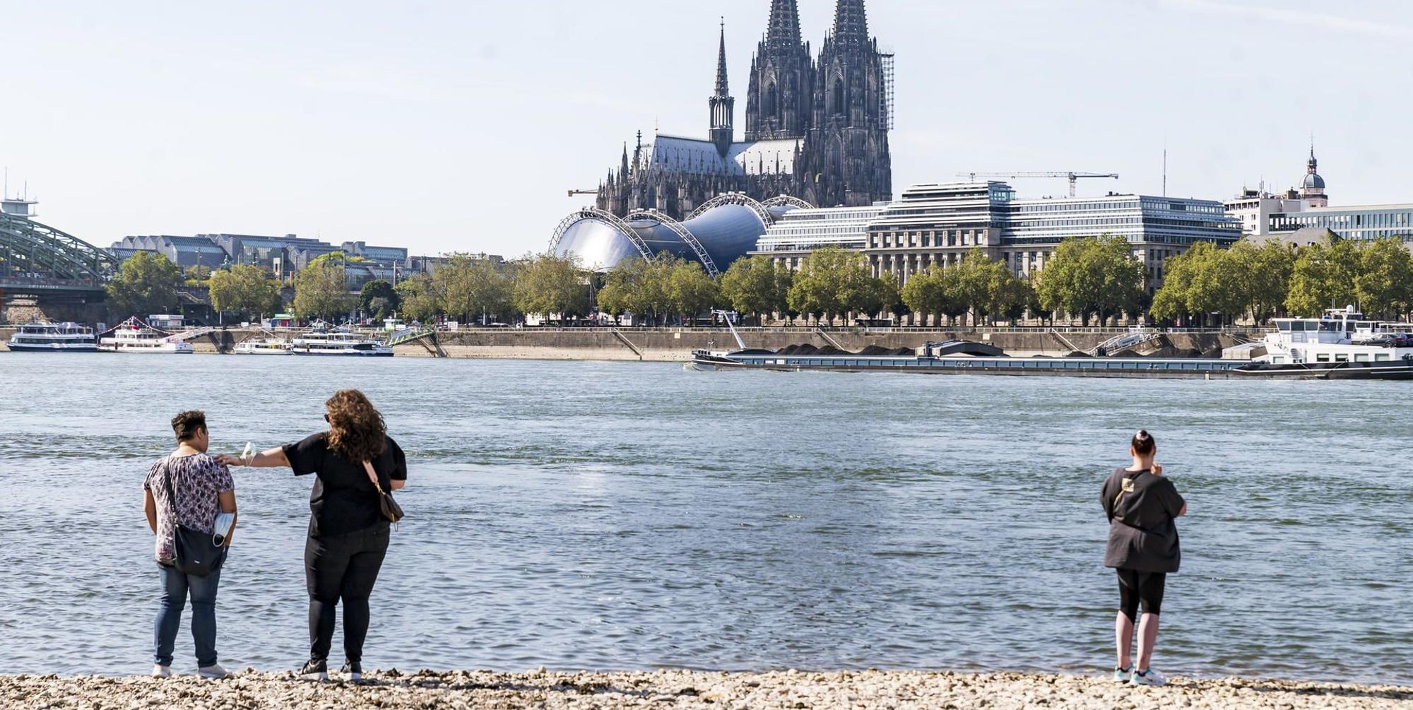 Rhein Dom Sym