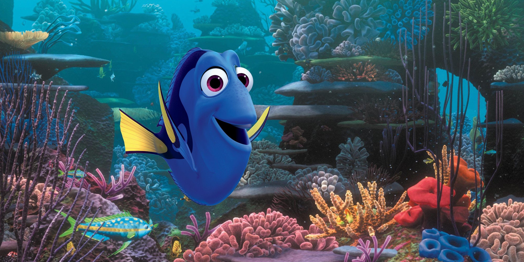 dorie