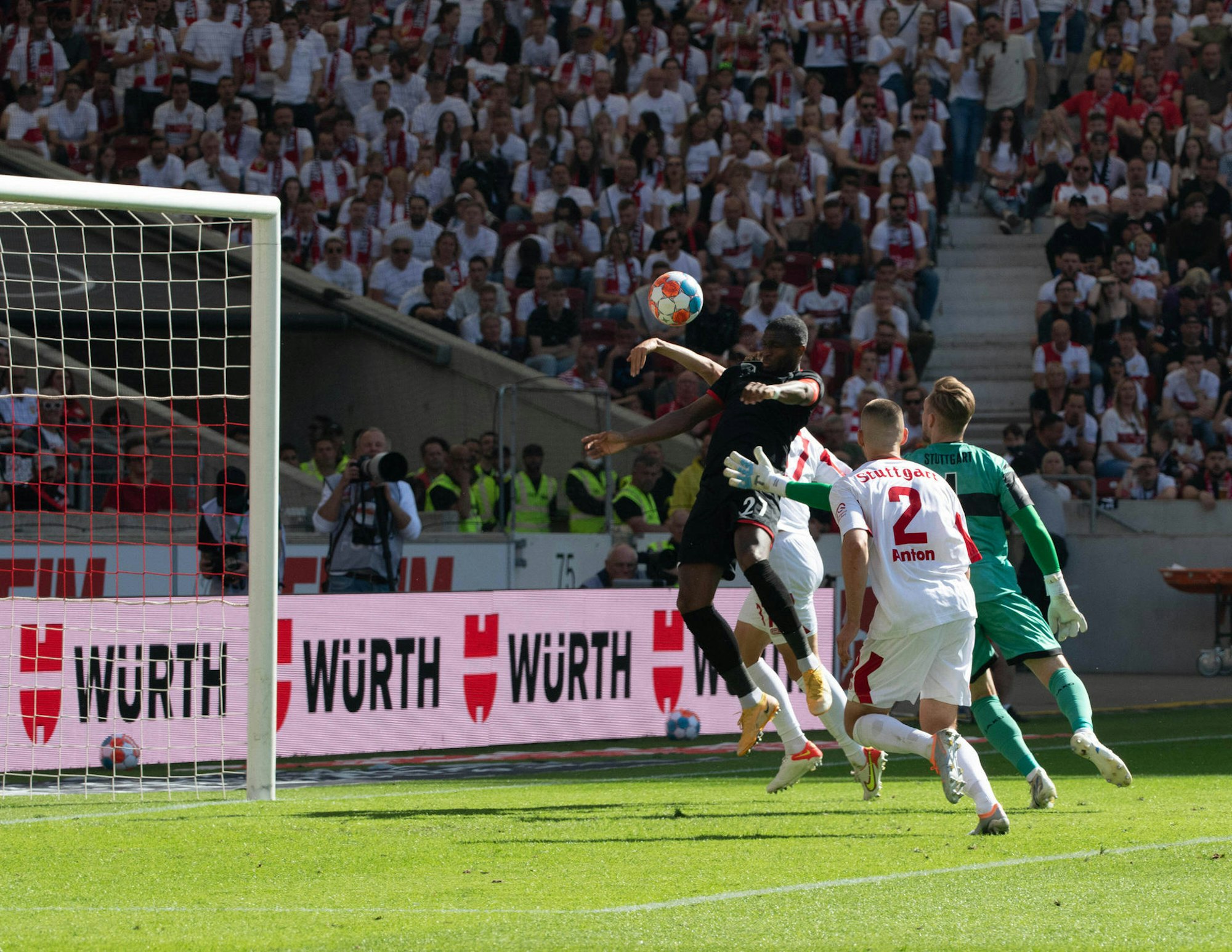 Modeste Tor