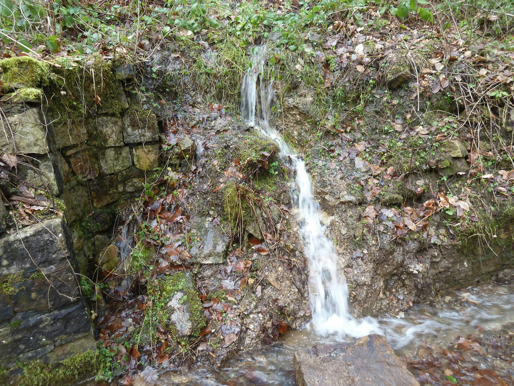 Friedrichsquellen_Eitorf2