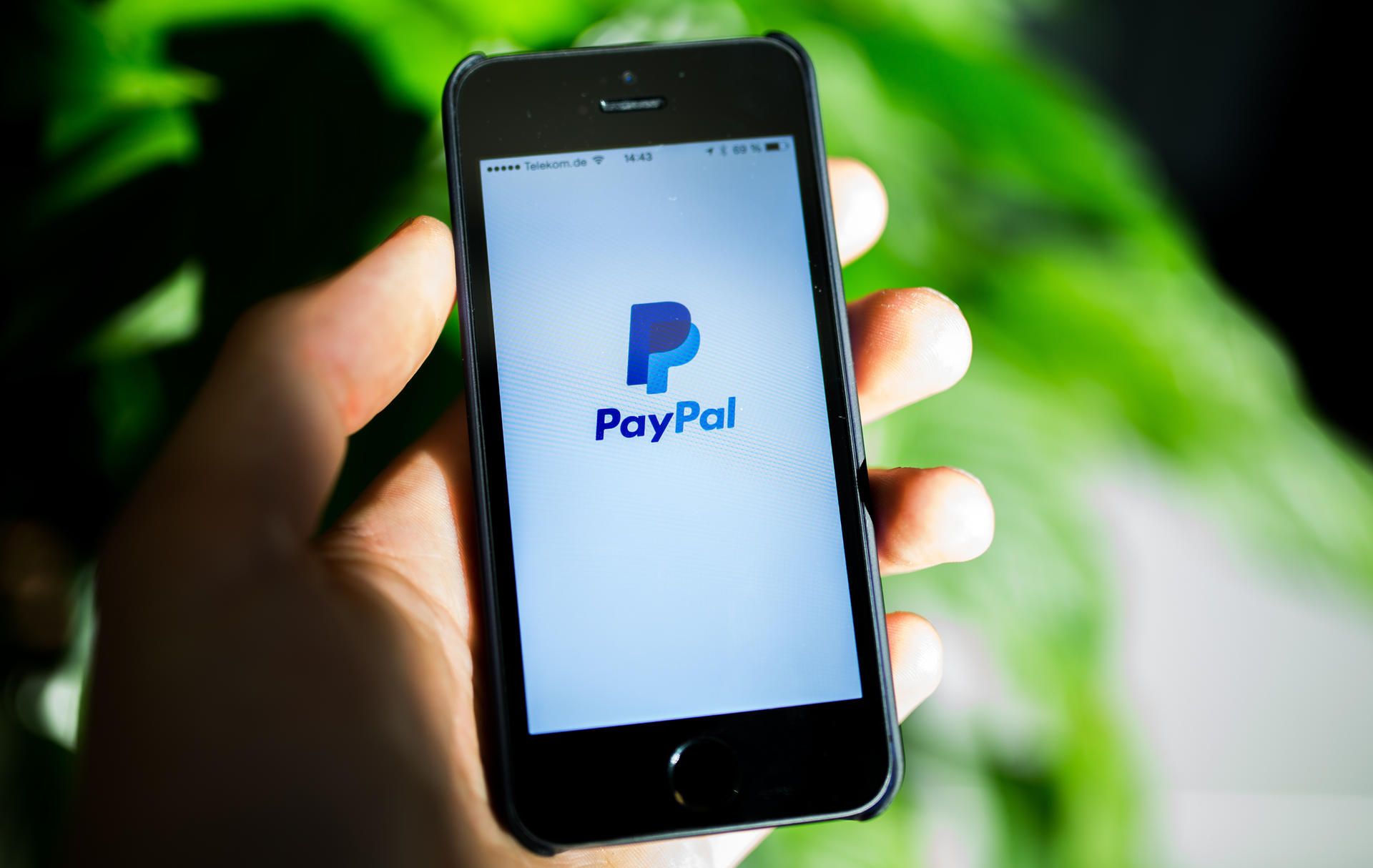 Paypal Logo