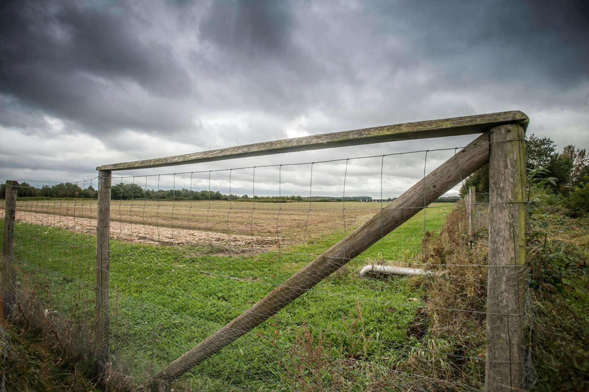 CDU Busrundfahrt_002