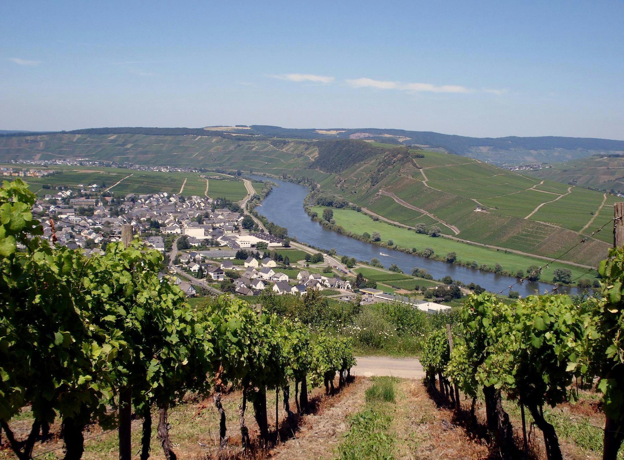 wein in trier ttm gmbh