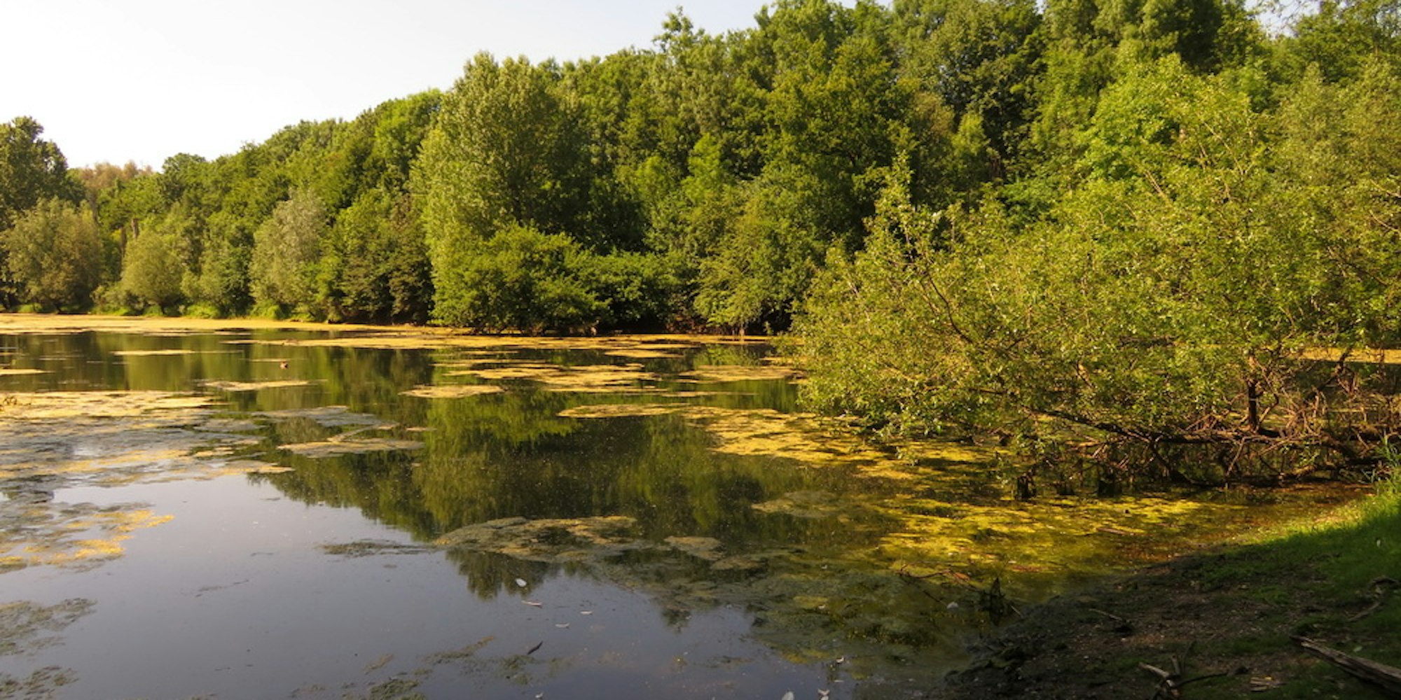 Blick auf Diescholls