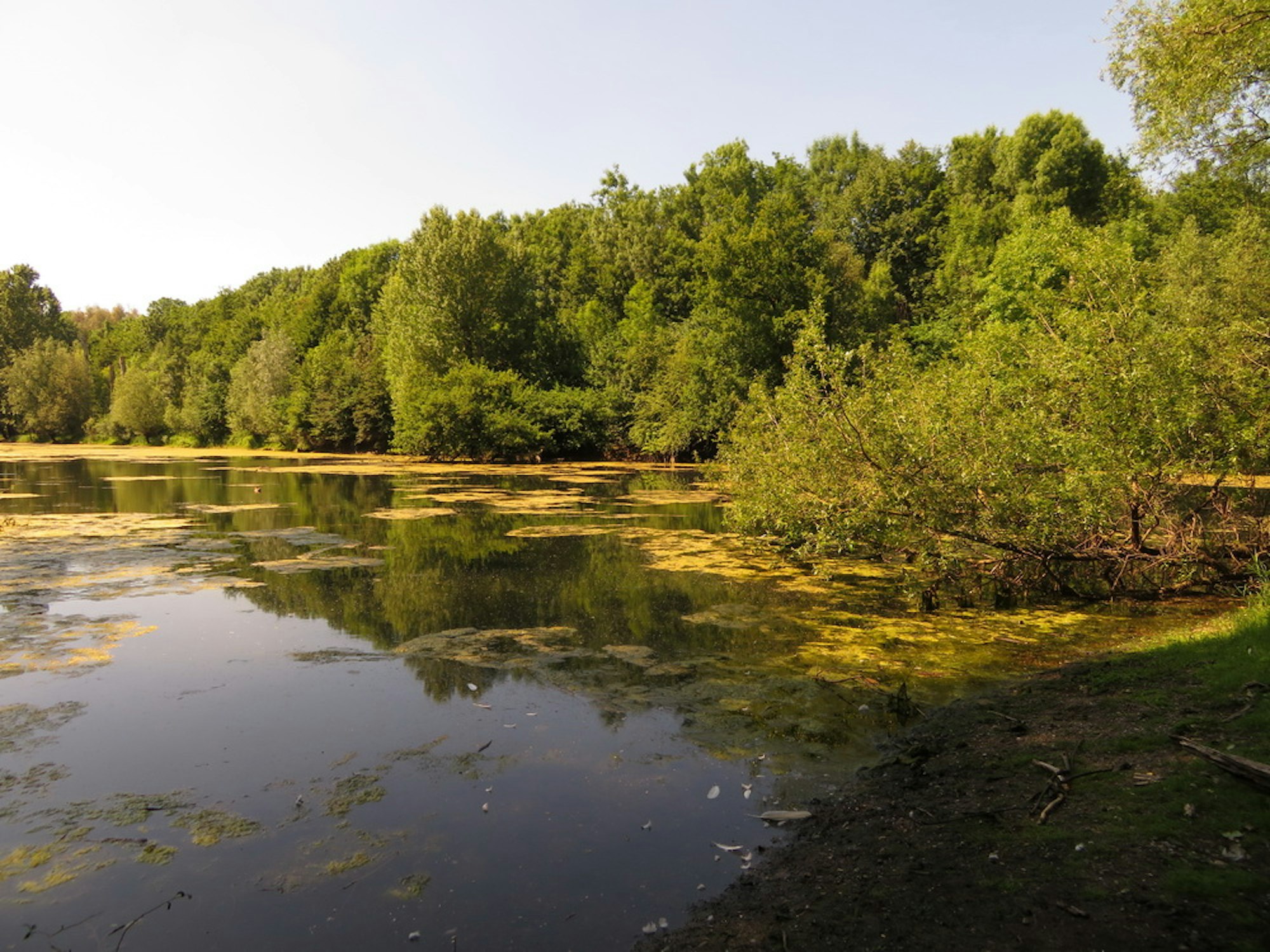 Blick auf Diescholls
