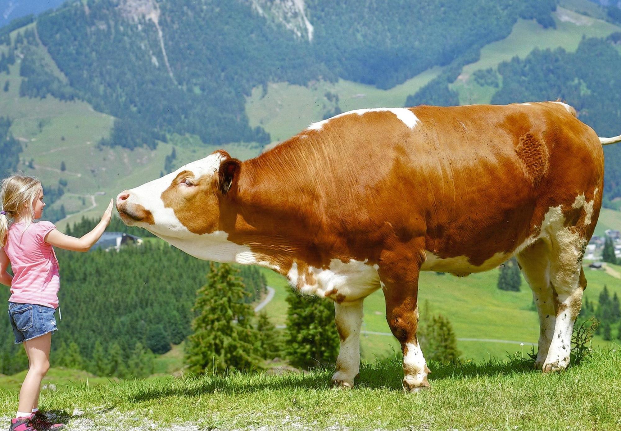 Platz 015_Bild 019_P_Nohl_Ralph