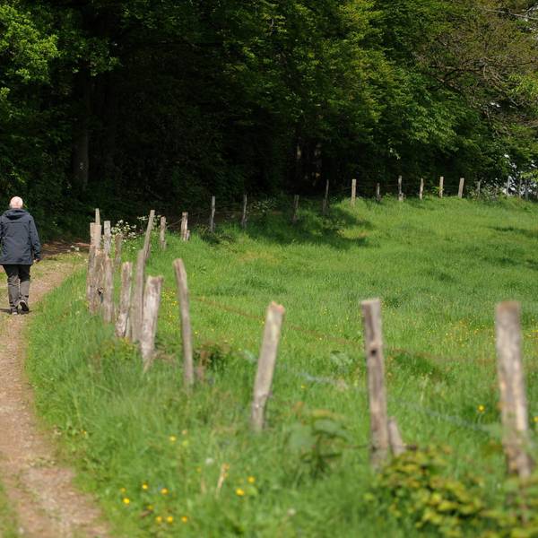 290519Rheinland-Lutherweg17