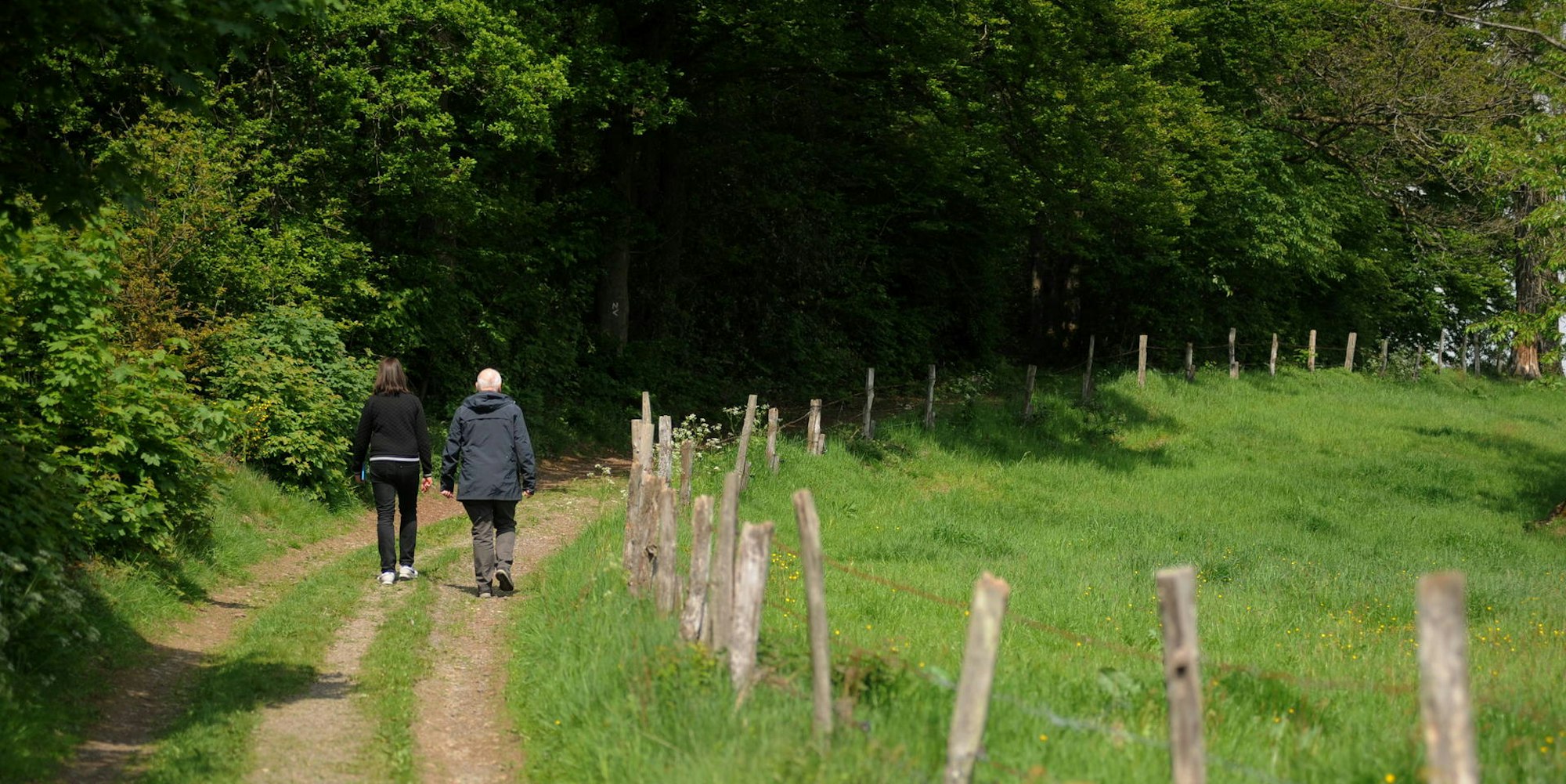 290519Rheinland-Lutherweg17