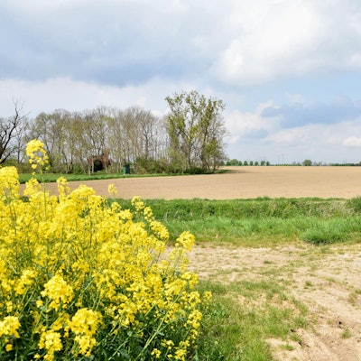 el-Kiesgrube-Widdendorf-II-FTZ (9)