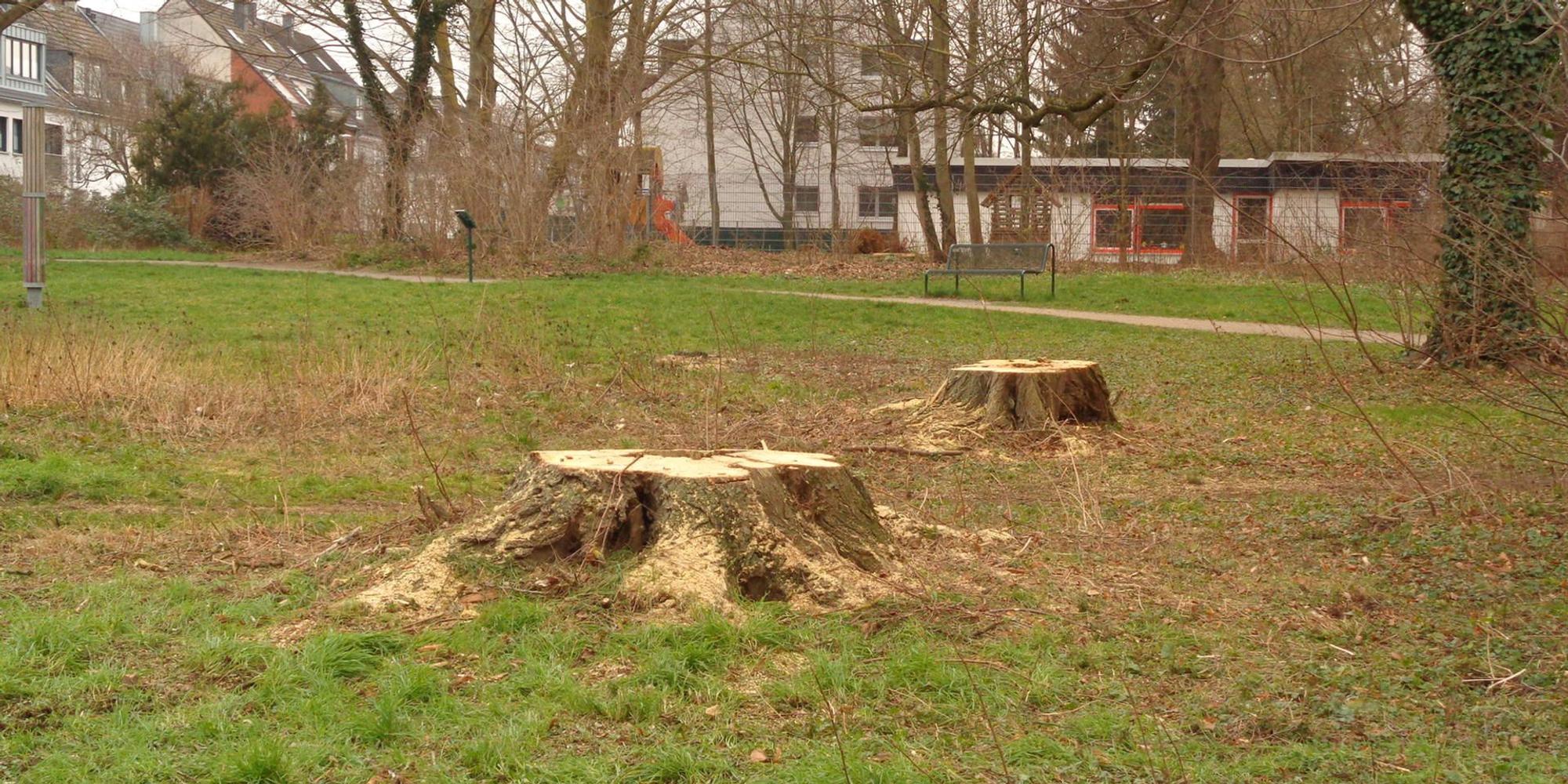 Neuer Inhalt (4)