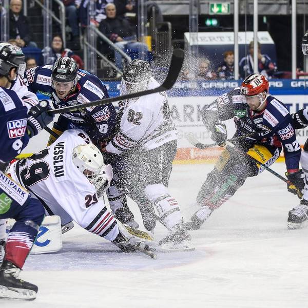 Haie in Berlin