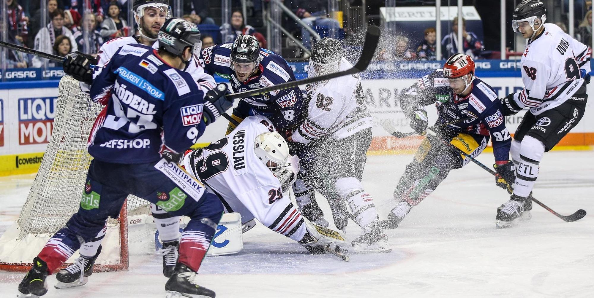 Haie in Berlin