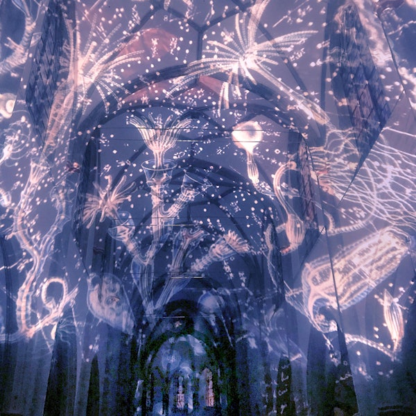 St. Severin Installation 1