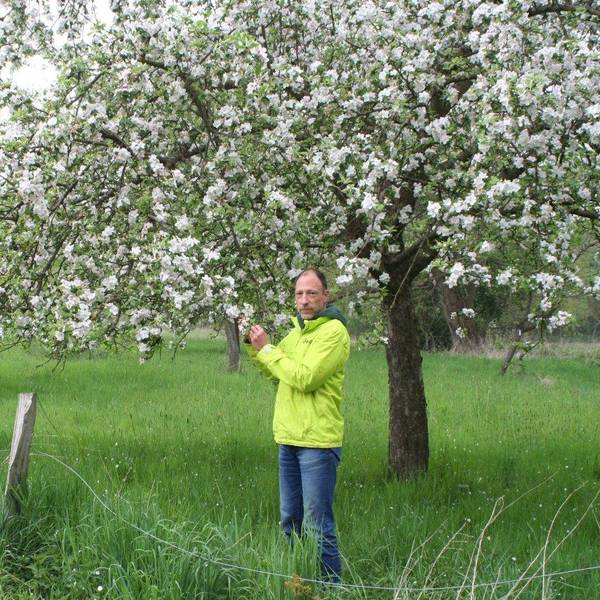 20220427-hrö-Streuobstwiese-2