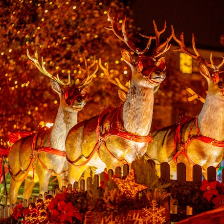 20191126_ths_weihnachtsmarkt_rudolfplatz_04