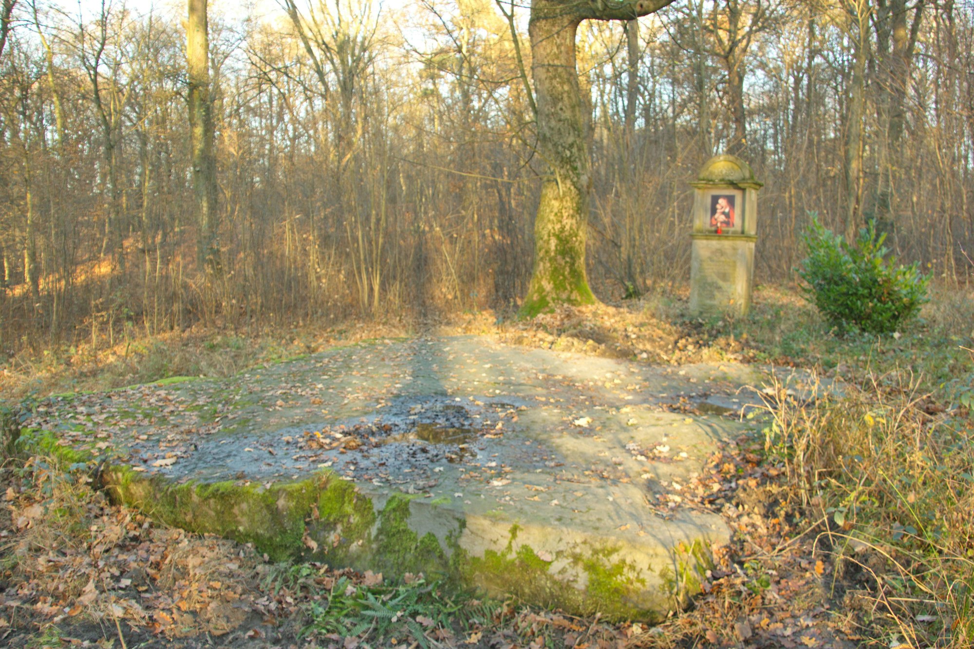 Neuer Inhalt (3)