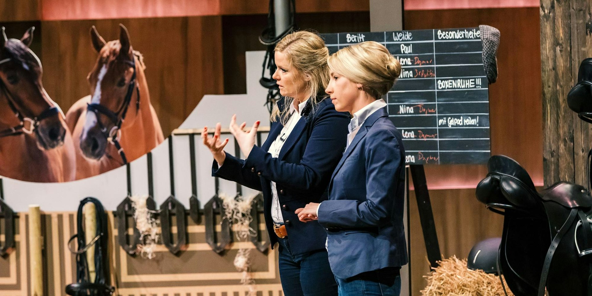 Pferde App Höhle der Löwen