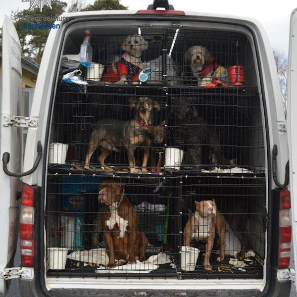 Tiertransport Darmstadt