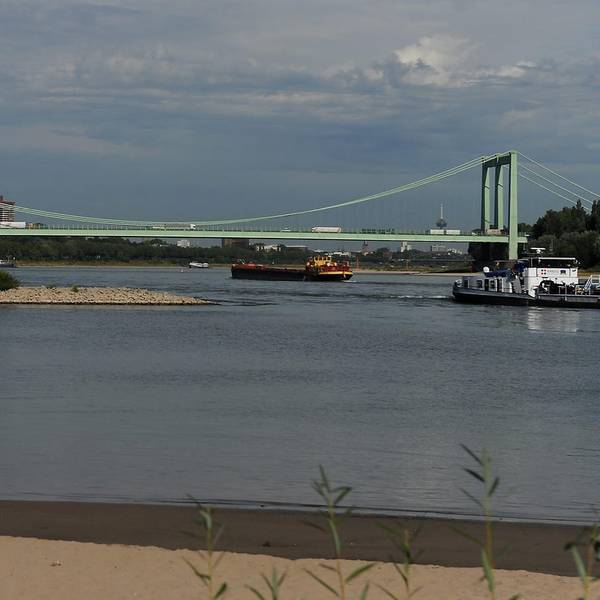 Rheinbruecke_Rodenkirchen
