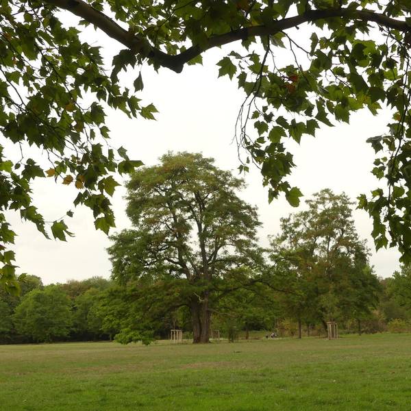 park_biesterfeld_vogelsang