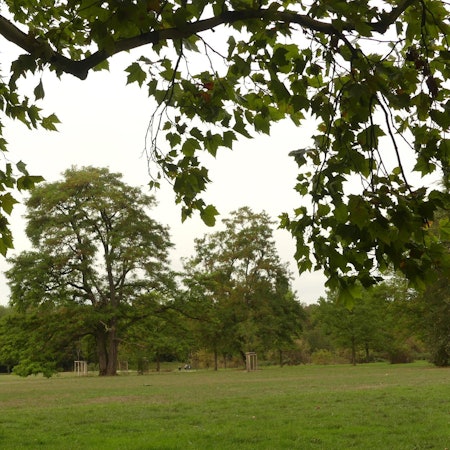 park_biesterfeld_vogelsang