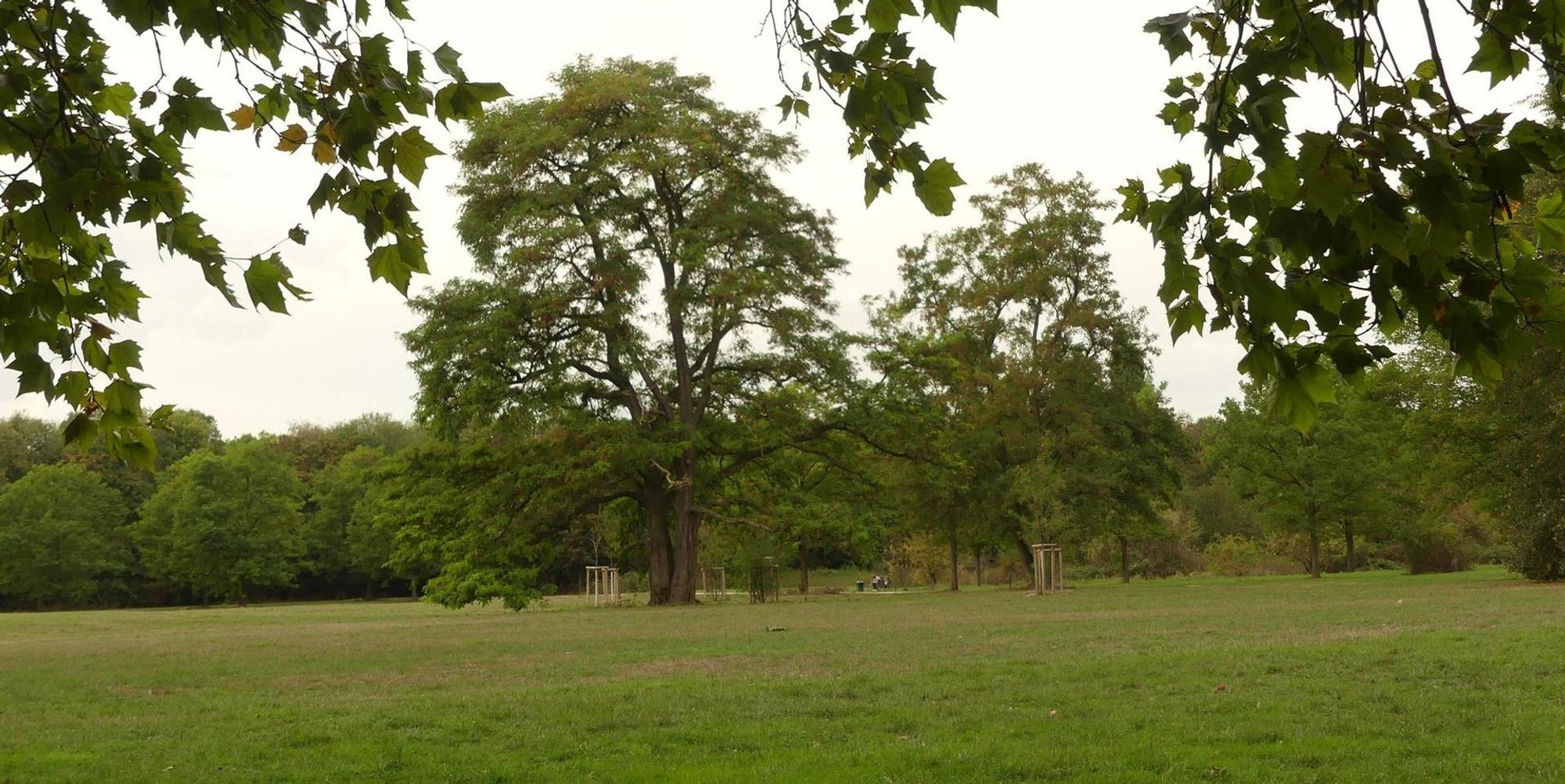 park_biesterfeld_vogelsang