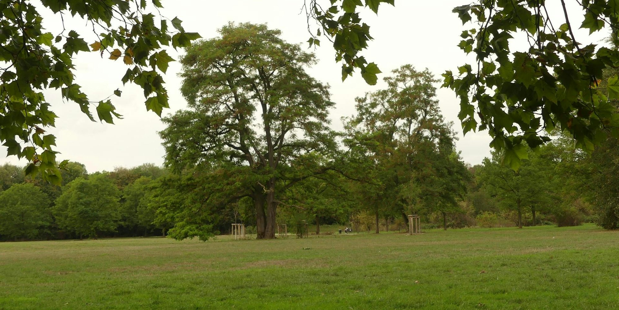 park_biesterfeld_vogelsang