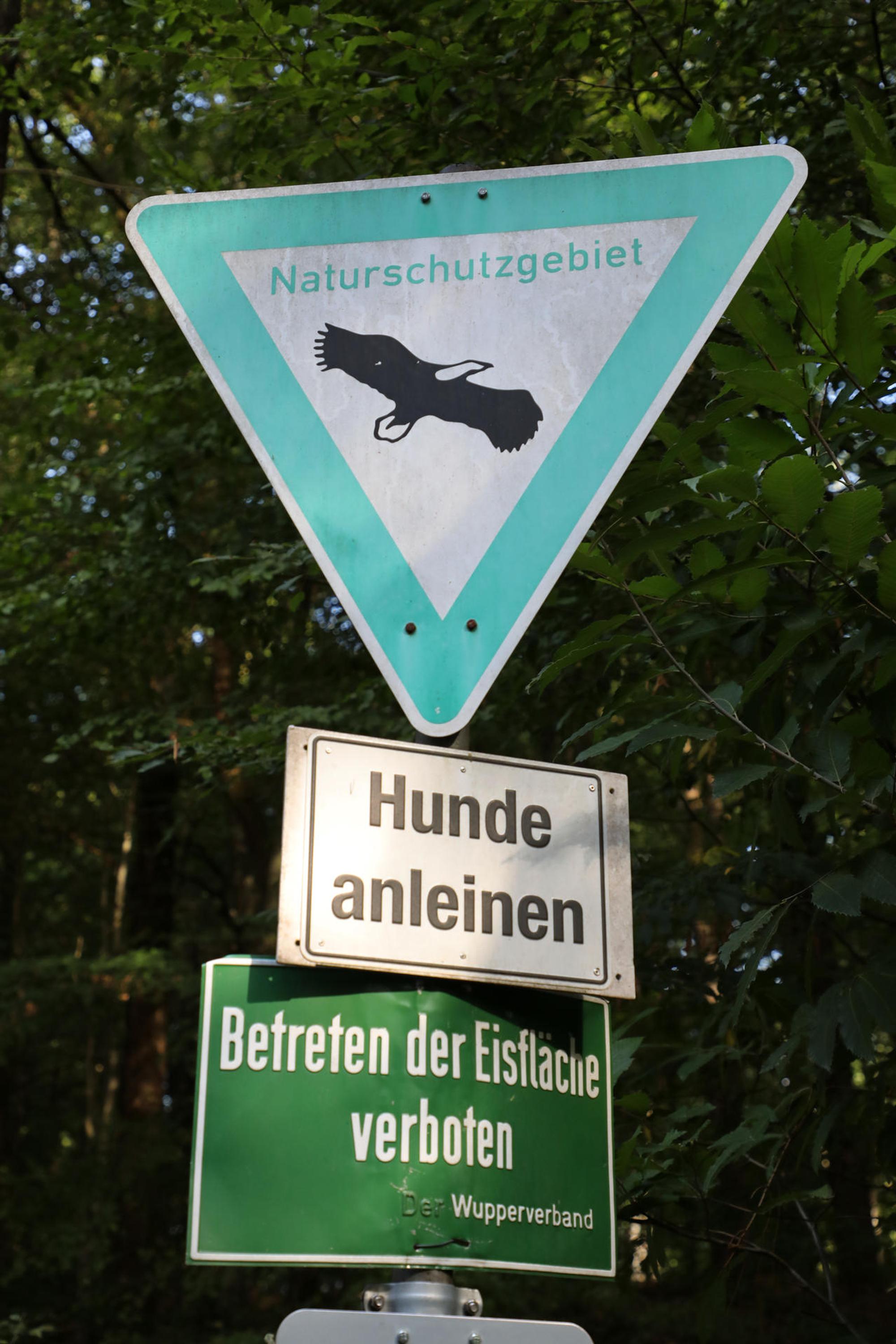Neuer Inhalt