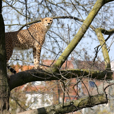 27032020_GeschlossenerZoo_30