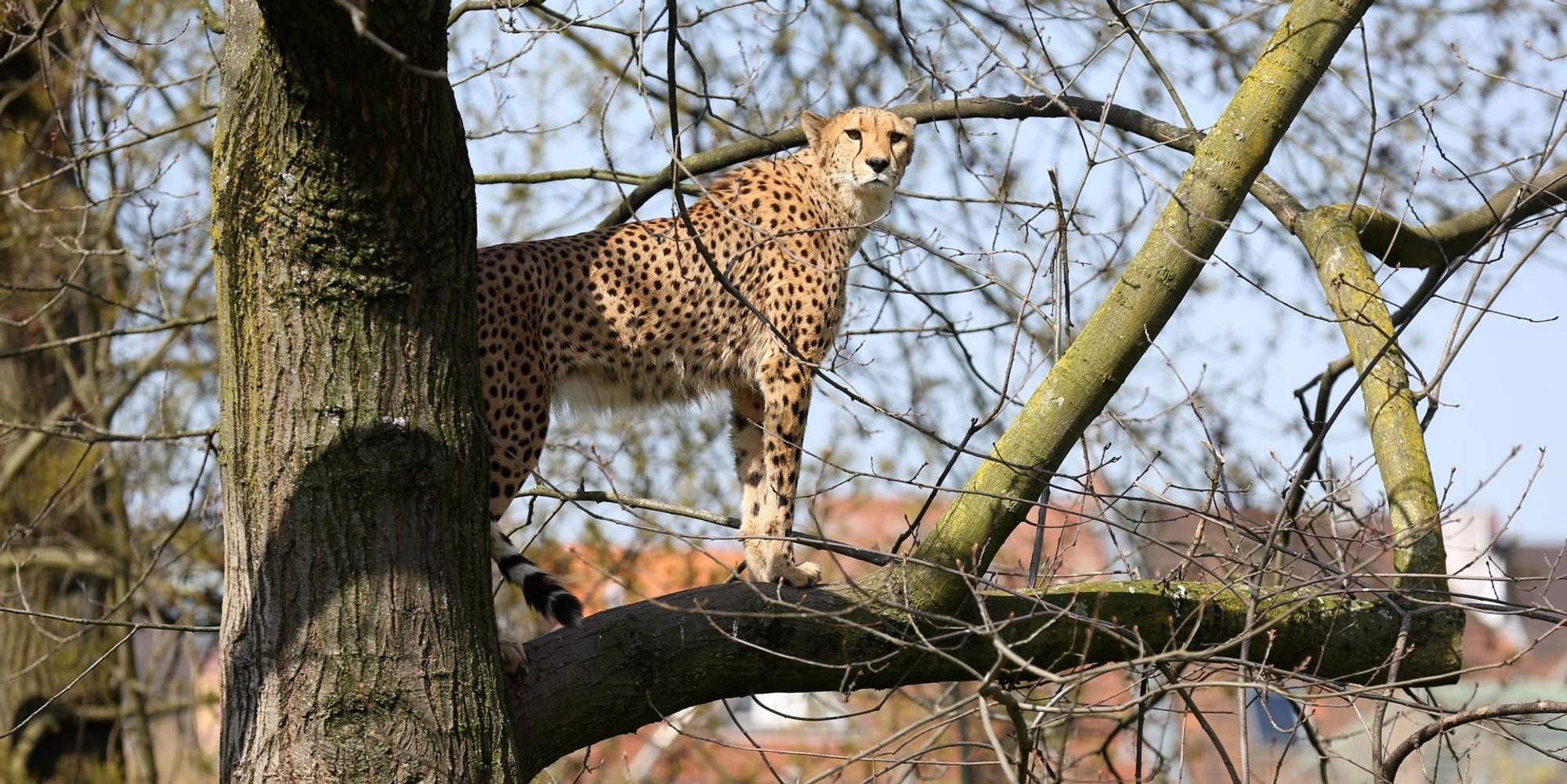 27032020_GeschlossenerZoo_30