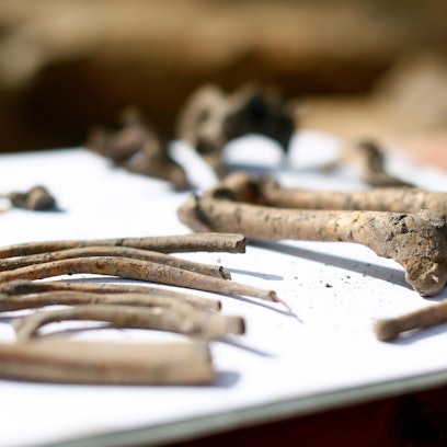 20190904_ths_Domhotel_08