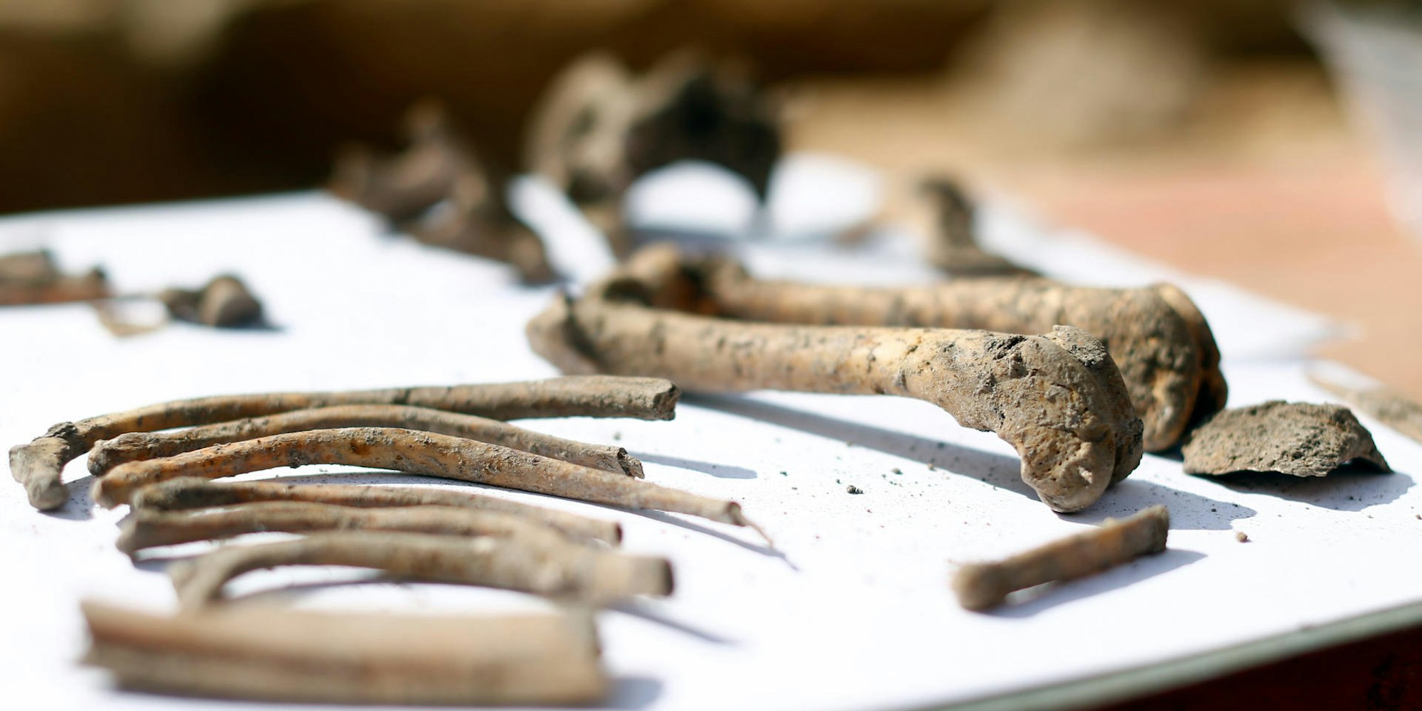 20190904_ths_Domhotel_08