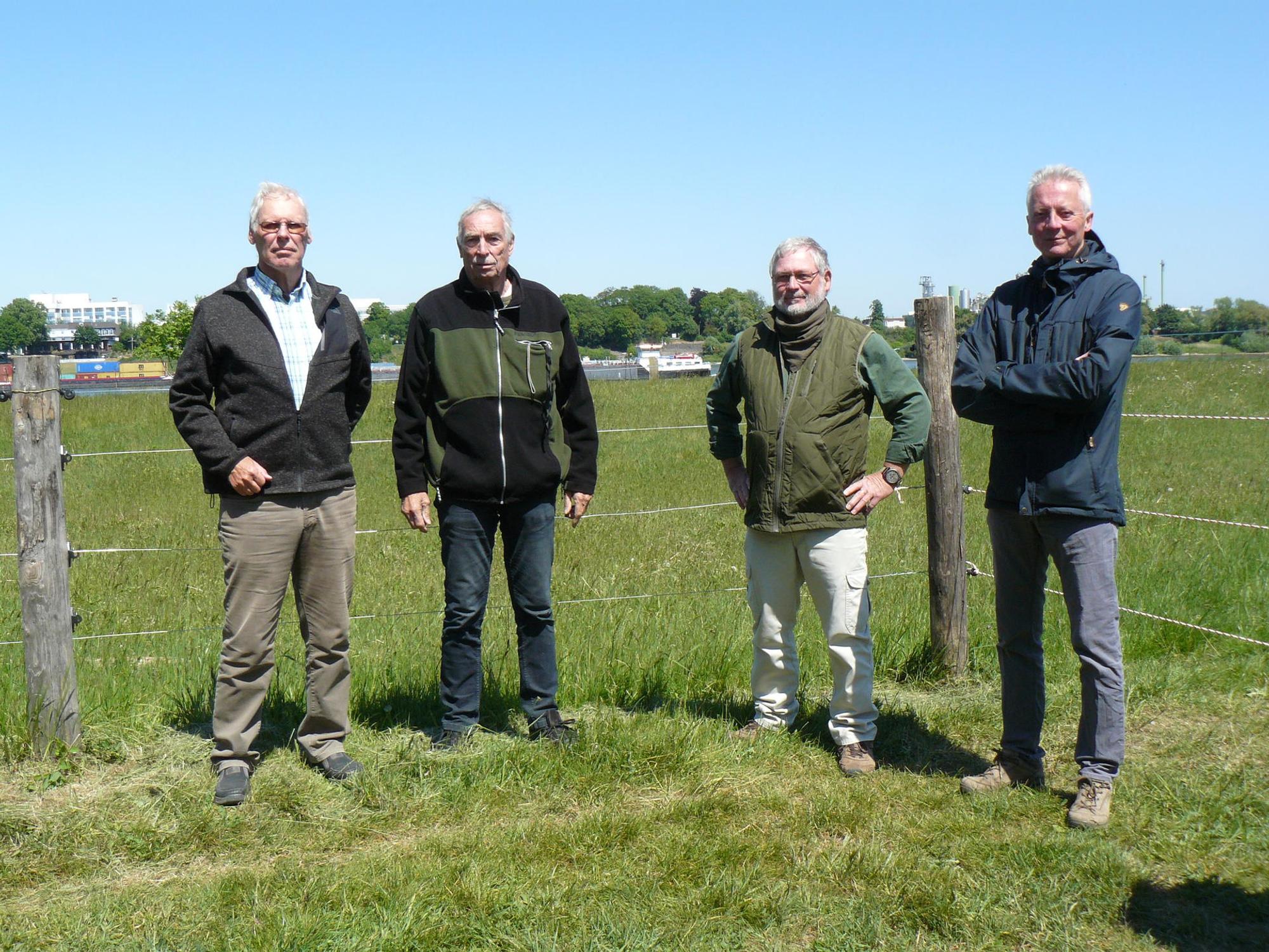 Worringen Glanrinder1