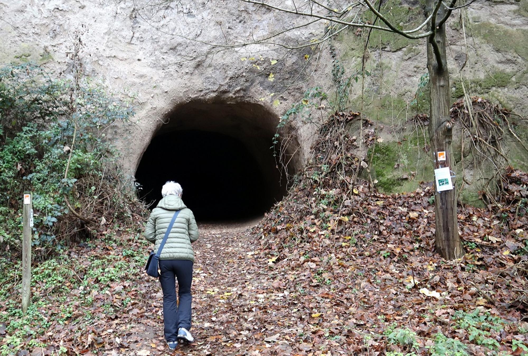 Wanderung Bad Tönisstein Trasshöhlen 2_Hedrich