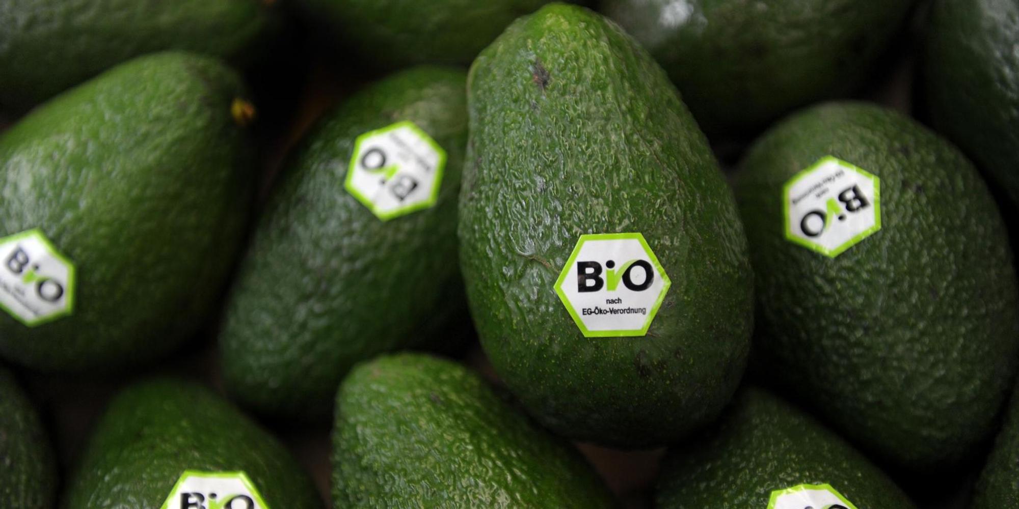 Haufen Bio-Avocado