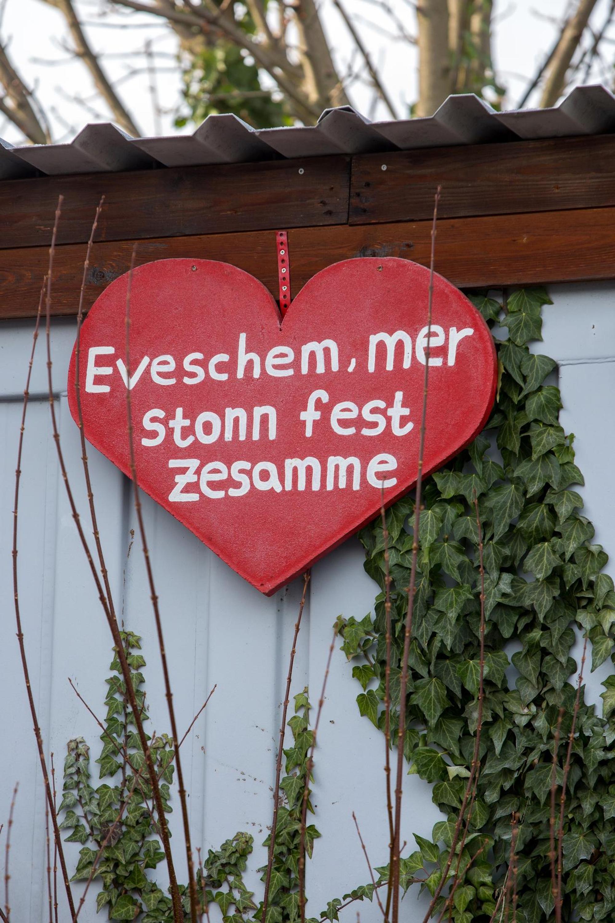 NollHerz