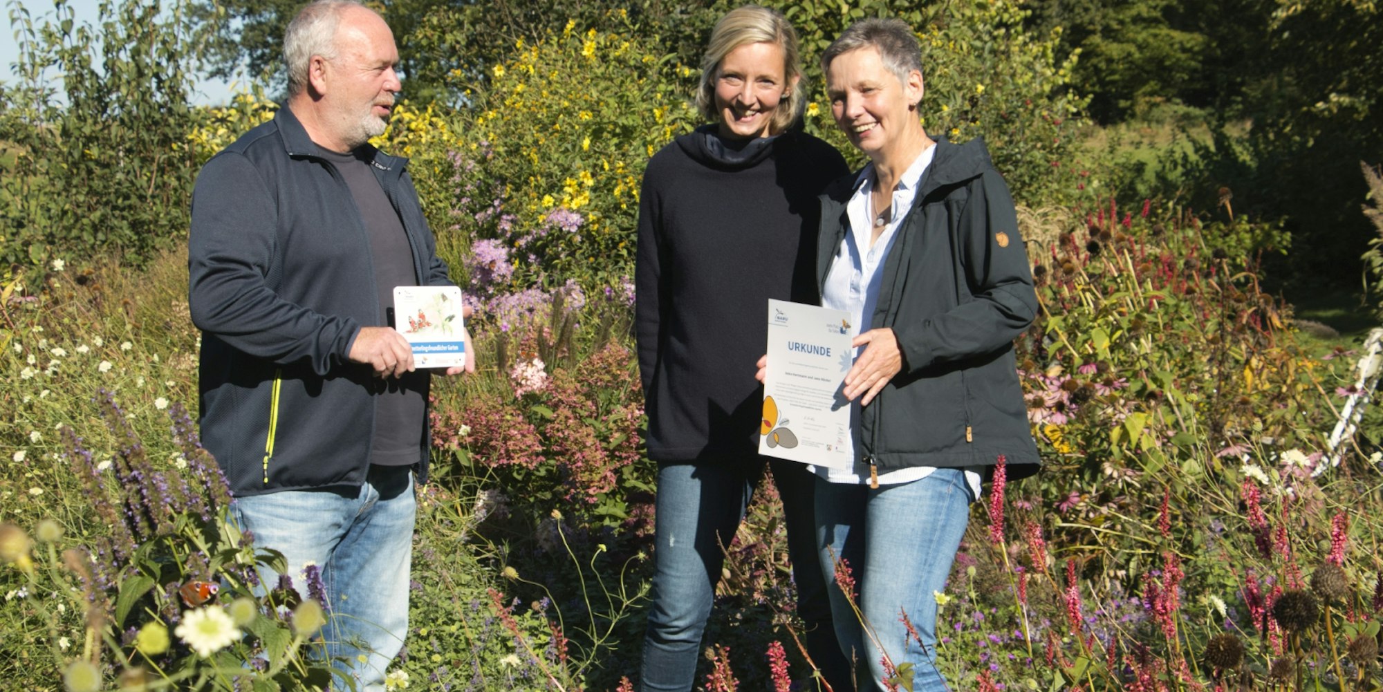 B_Schmetterlinge