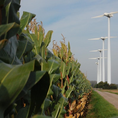 Kerpen Blatzheim Windräder