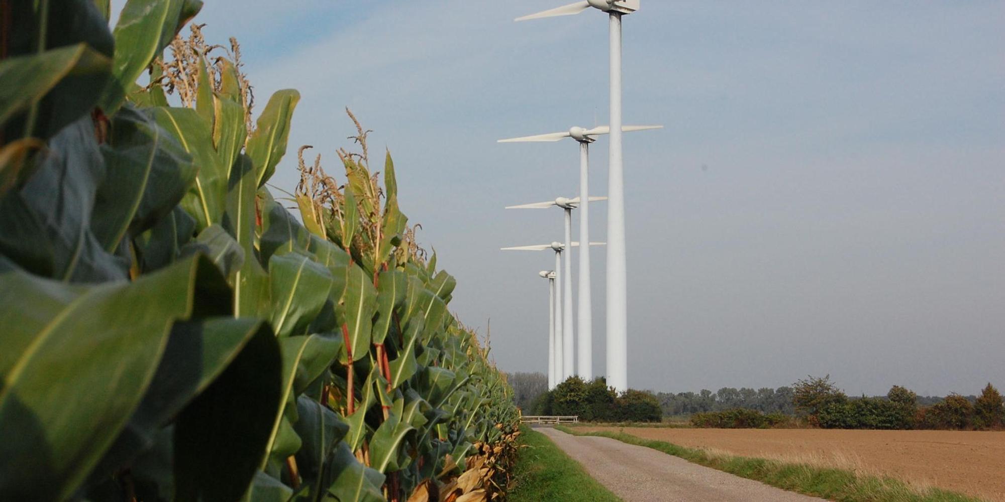 Kerpen Blatzheim Windräder