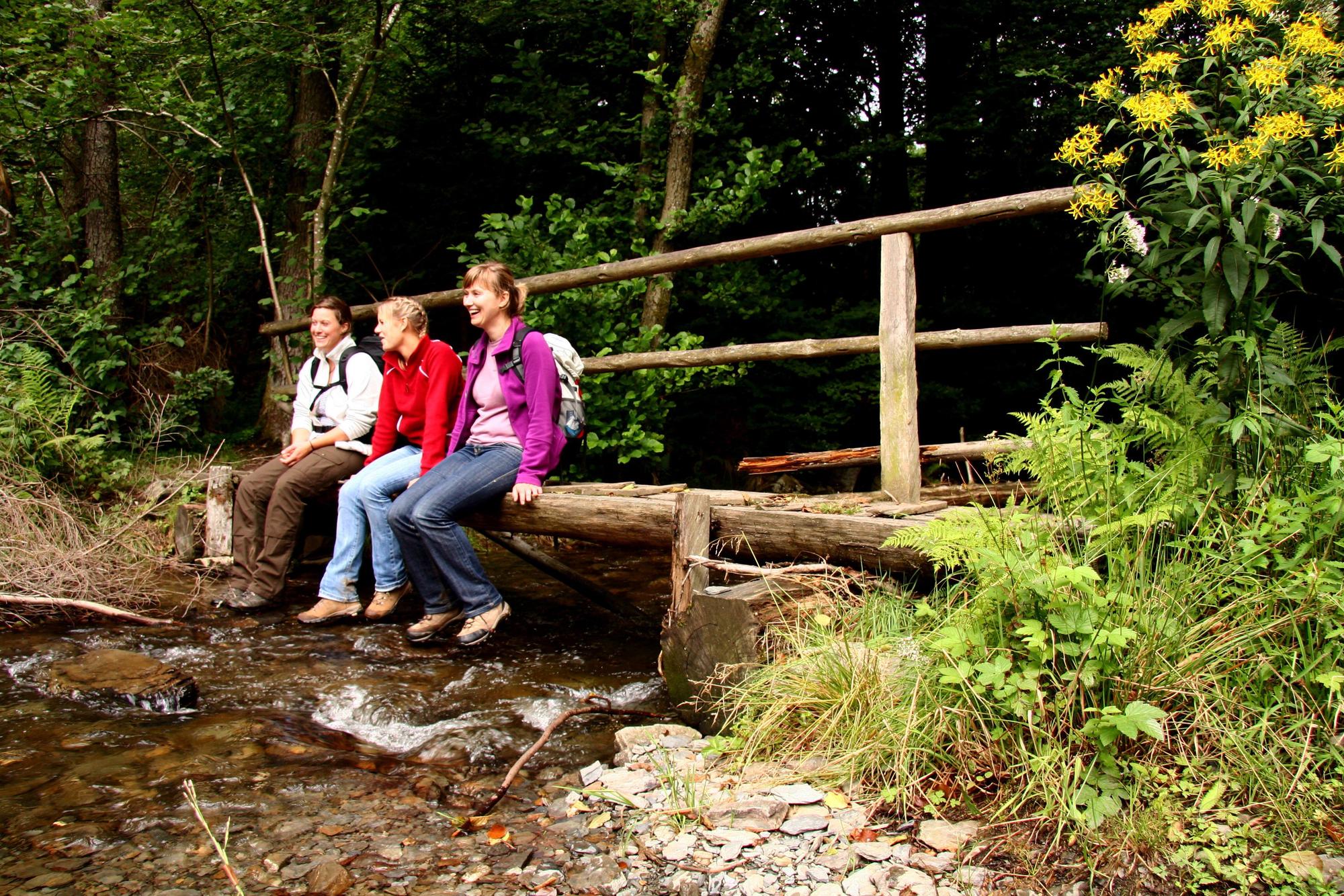 Wildnistrail Eifel Rureifel