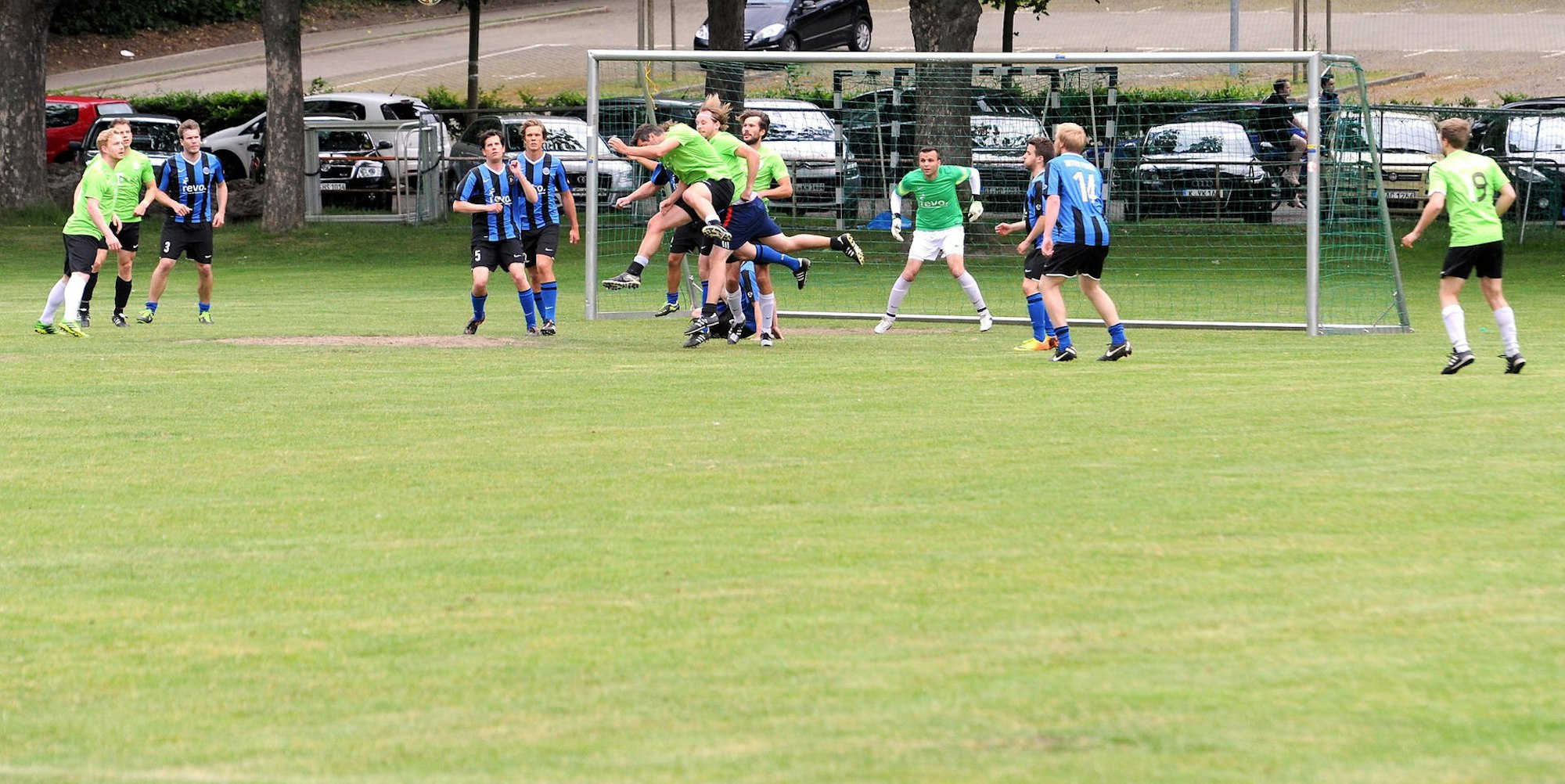 Jahnwiesen 2015 WORRING