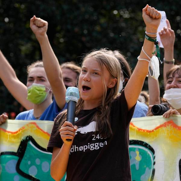 Thunberg ap