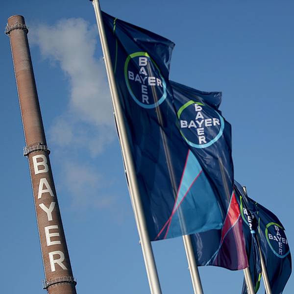 Bayer Werk fahnen