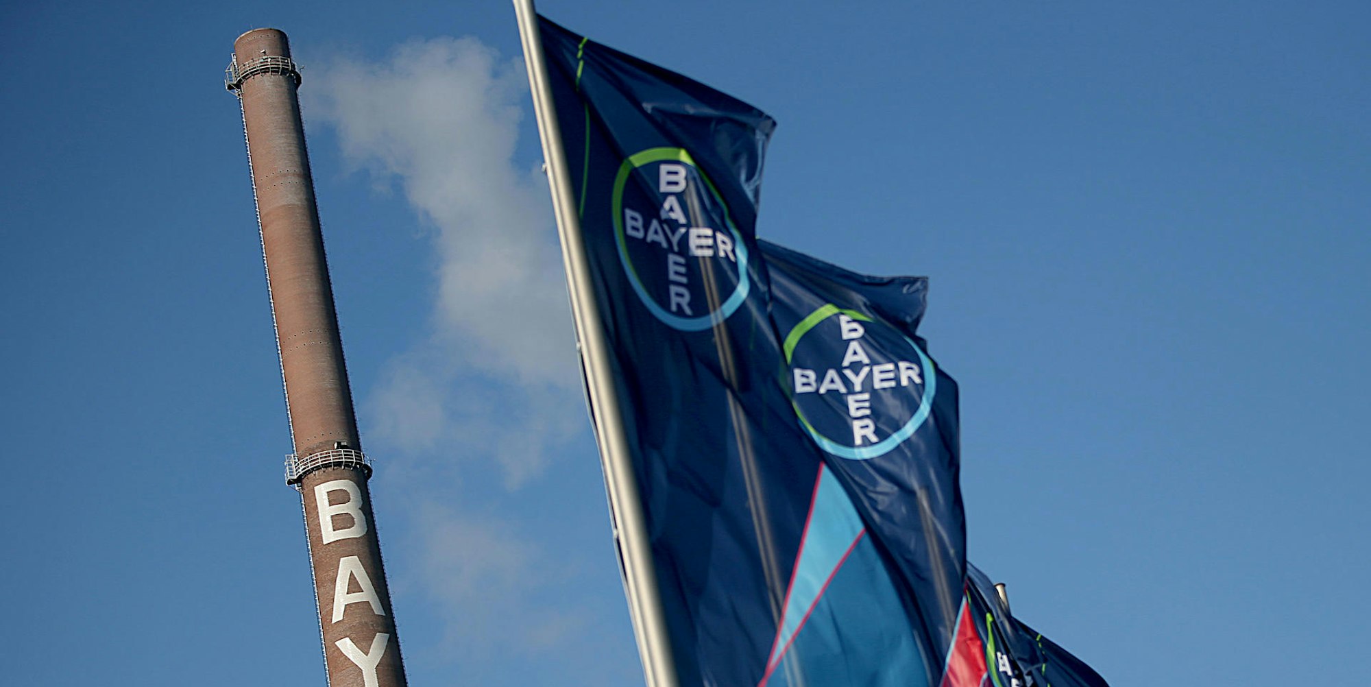 Bayer Werk fahnen