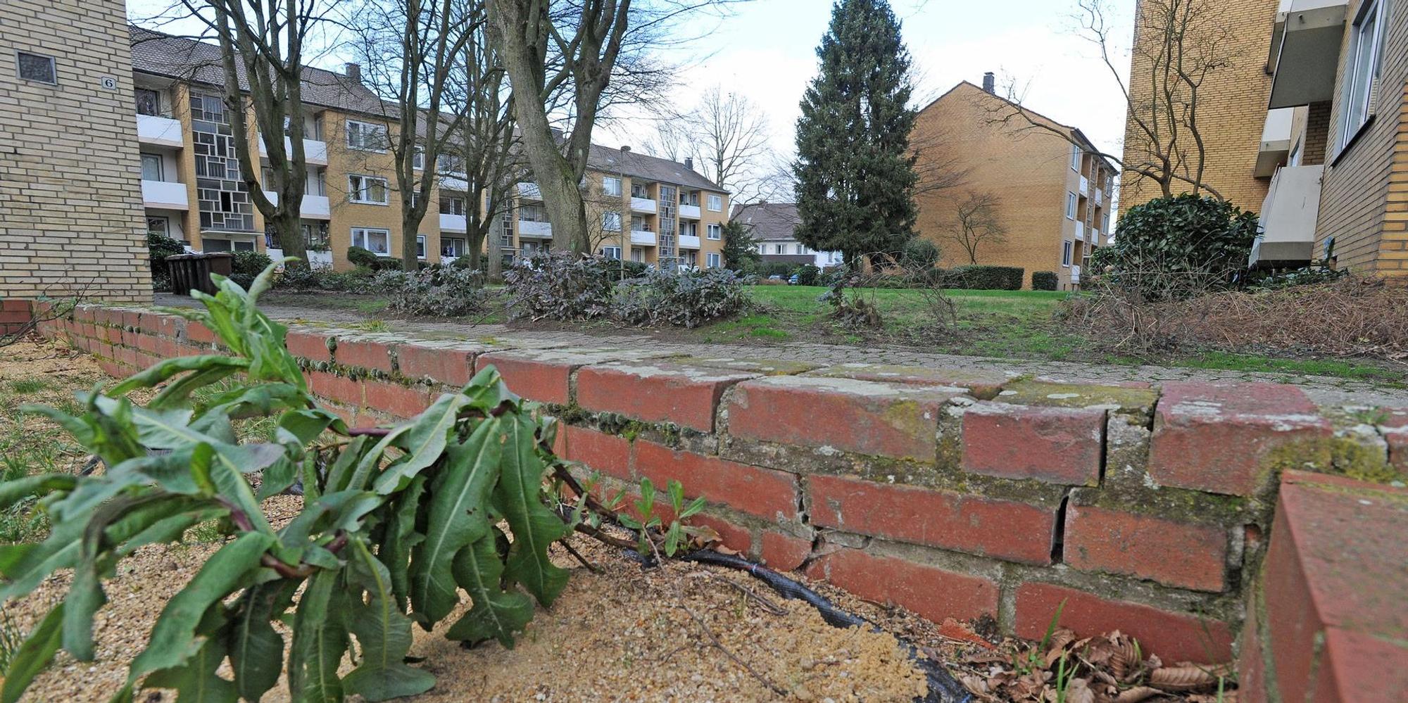 WU_Cremers-Weiden_(1)