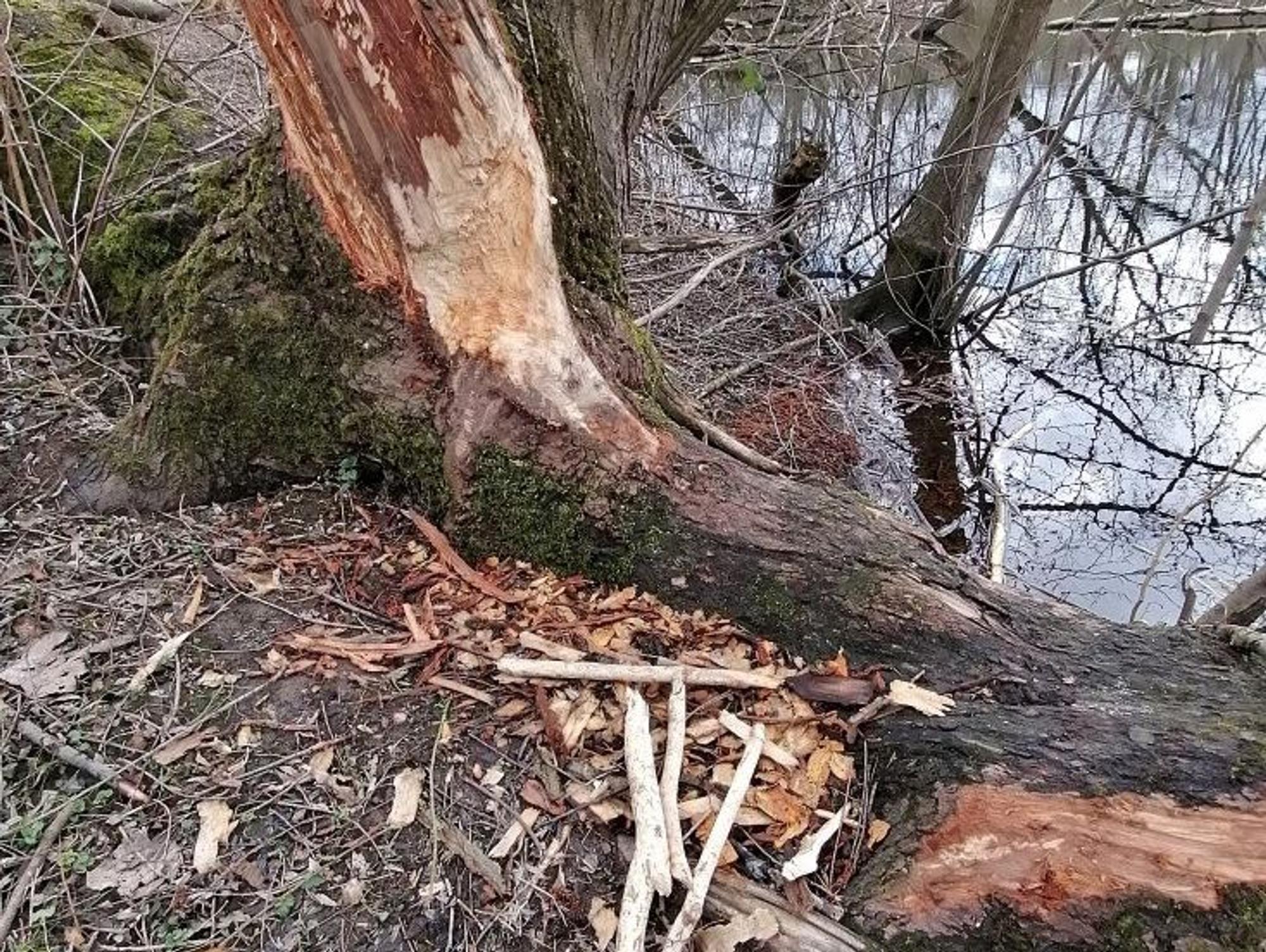 Neuer Inhalt